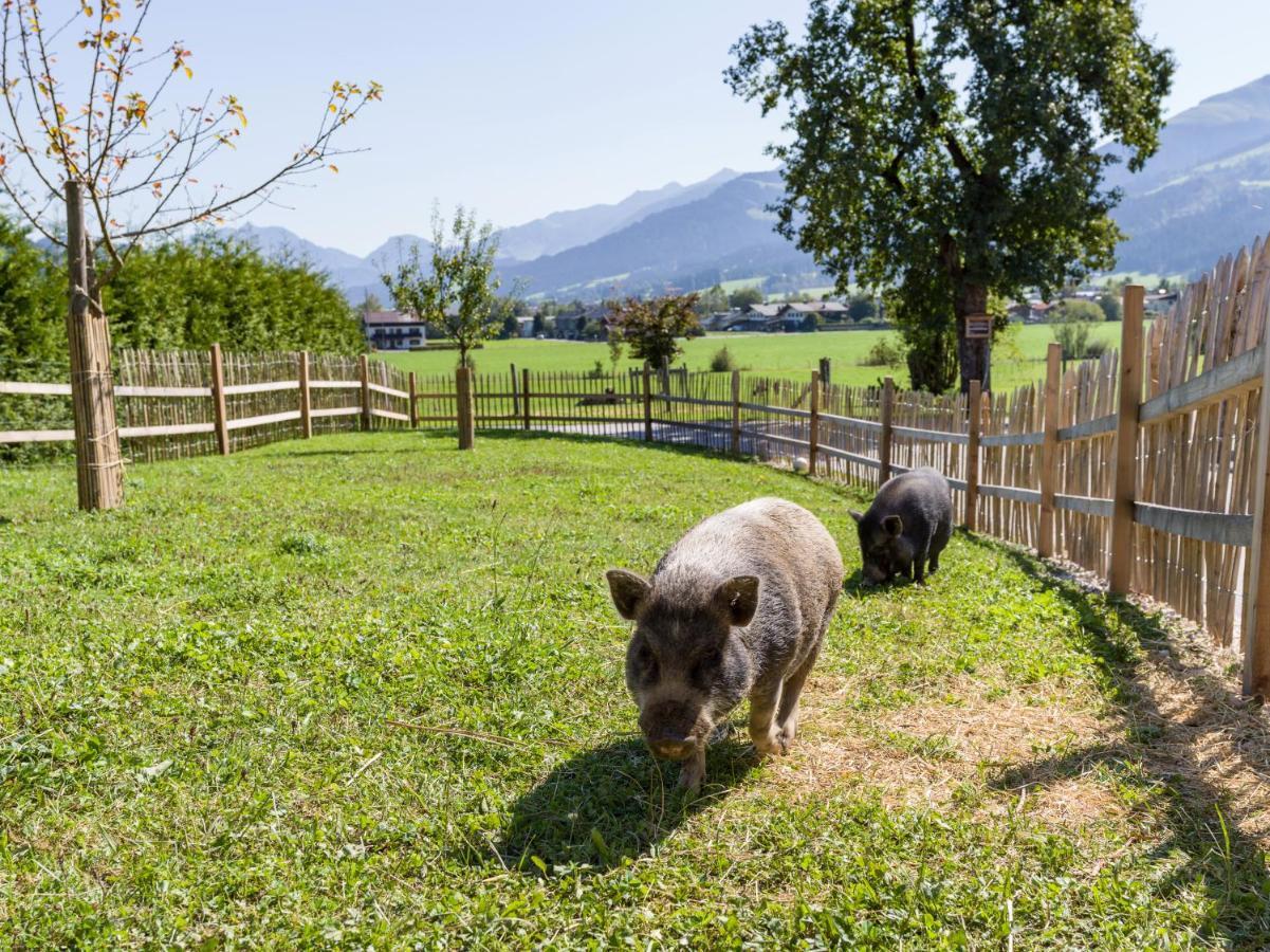 Narzenhof Wellness Chalets, Familien & Luxus Apartments Am Bauernhof Sankt Johann in Tirol Exteriér fotografie