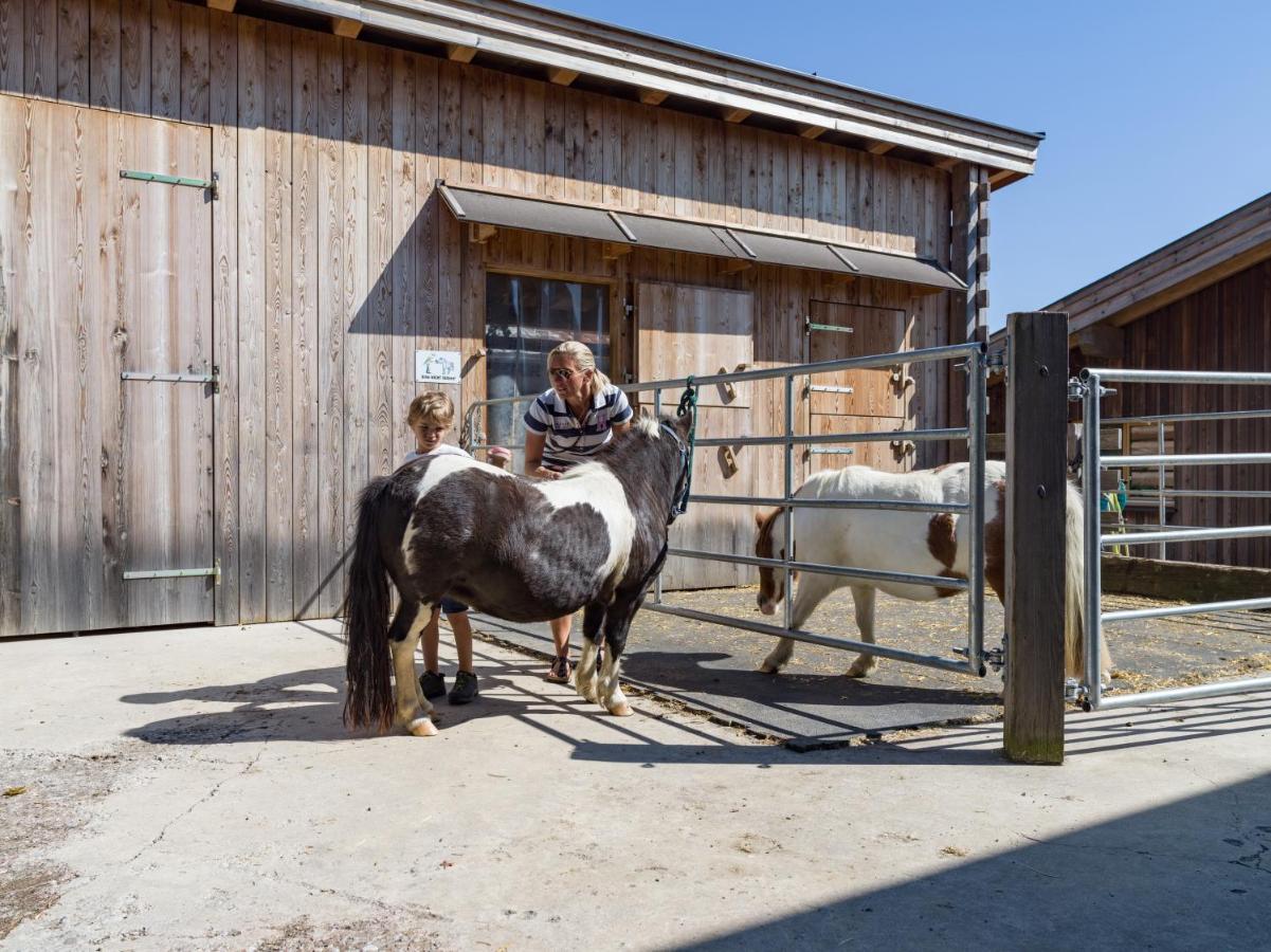 Narzenhof Wellness Chalets, Familien & Luxus Apartments Am Bauernhof Sankt Johann in Tirol Exteriér fotografie
