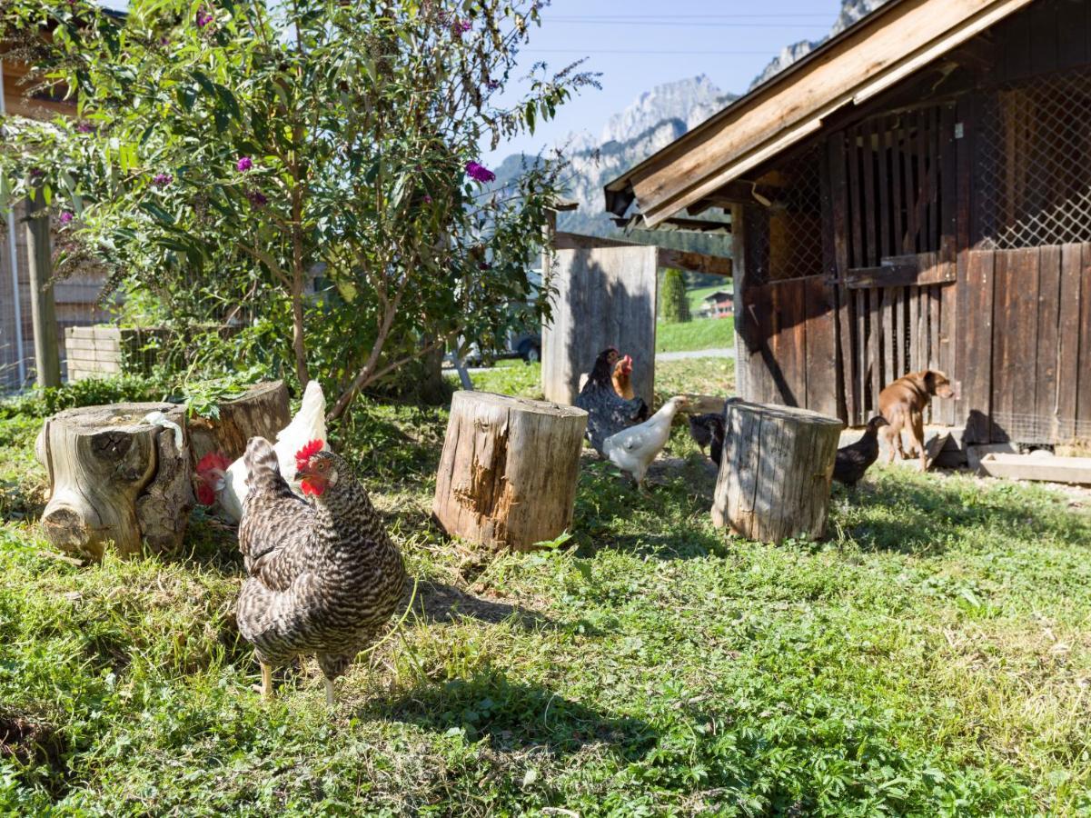 Narzenhof Wellness Chalets, Familien & Luxus Apartments Am Bauernhof Sankt Johann in Tirol Exteriér fotografie