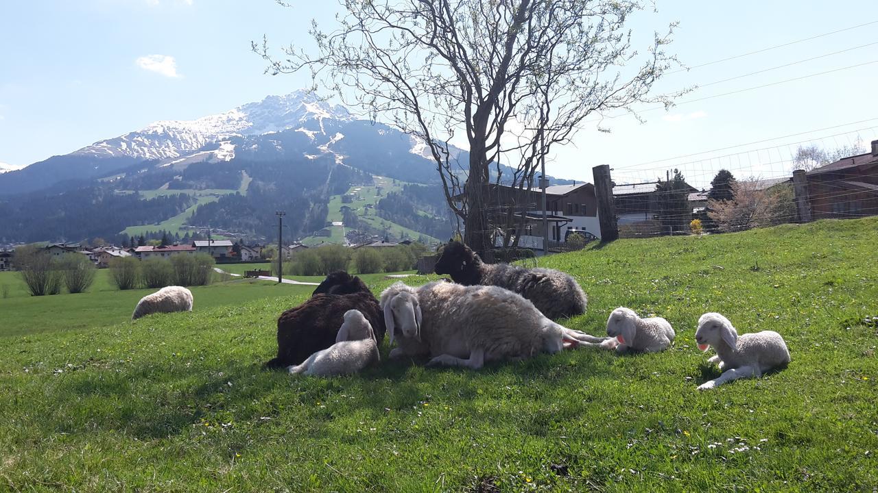 Narzenhof Wellness Chalets, Familien & Luxus Apartments Am Bauernhof Sankt Johann in Tirol Exteriér fotografie