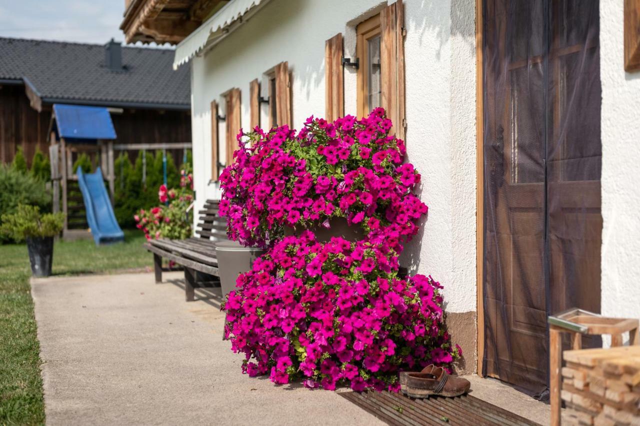 Narzenhof Wellness Chalets, Familien & Luxus Apartments Am Bauernhof Sankt Johann in Tirol Exteriér fotografie